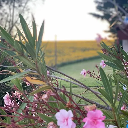 Le Pré Joli 3* Beaugas