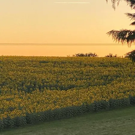 Le Pré Joli Pensión Beaugas