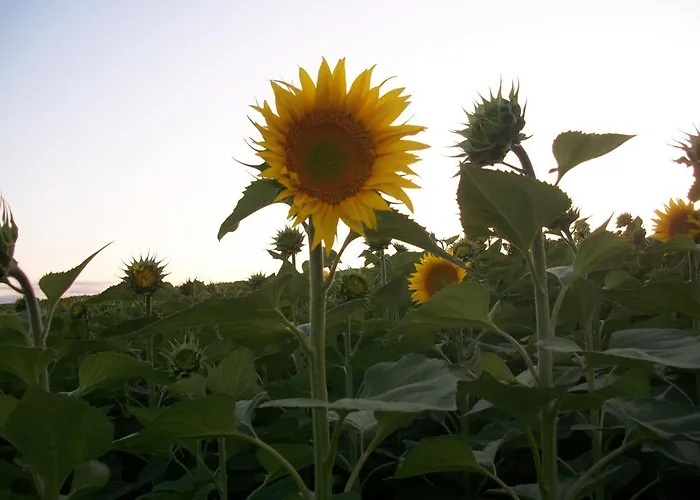 Le Pré Joli Maison d'hôtes