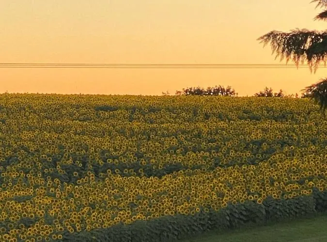 Le Pré Joli Maison d'hôtes Beaugas