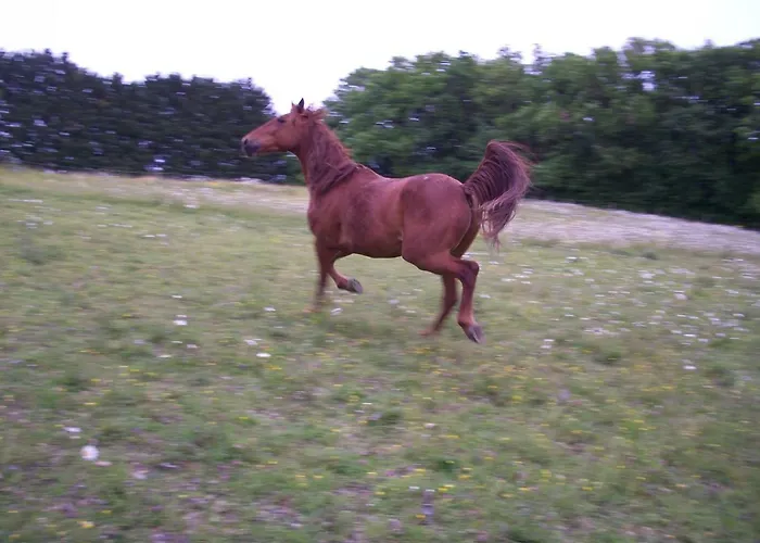 Le Pré Joli Maison d'hôtes